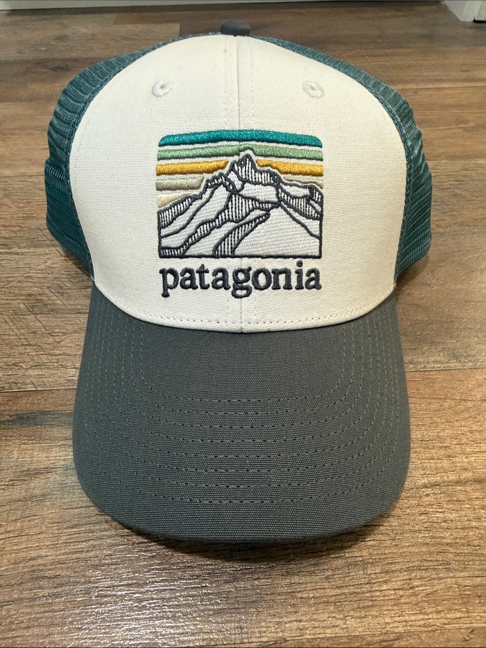 Patagonia unisex Trucker Hat in Cream, Teal & Gray